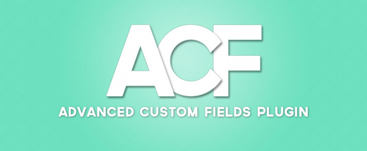 Essential Code Clips Acf