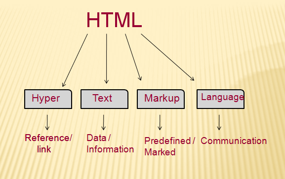 Ngôn ngữ HTML là gì? Vai trò của HTML trong lập trình web?